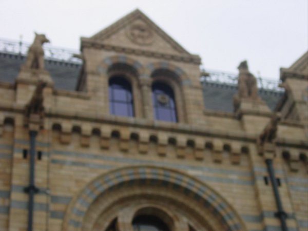 DSC01186.JPG