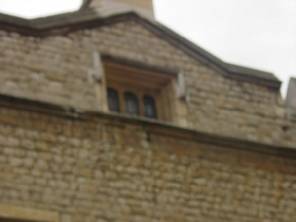 DSC01196.JPG