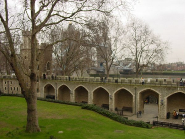 DSC01202.JPG