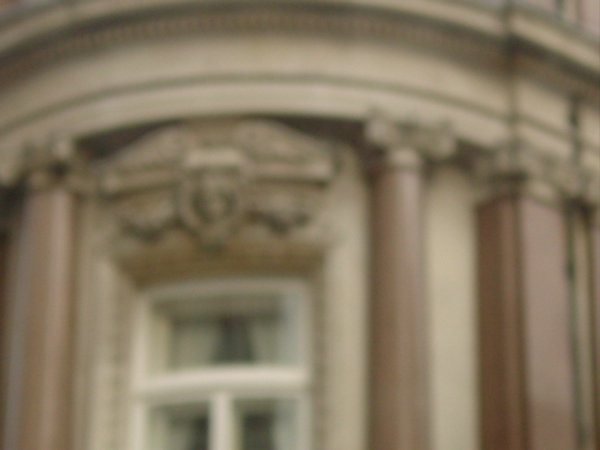 DSC01256.JPG