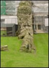 DSC01200.JPG