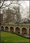 DSC01202.JPG