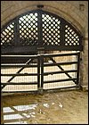 DSC01216.JPG