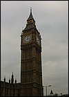 DSC01223.JPG