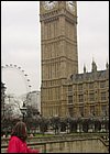 DSC01228.JPG
