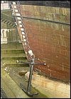 DSC01239.JPG