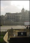 DSC01246.JPG