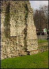 DSC01247.JPG